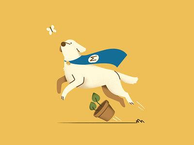 Superhero Dog designs, themes, templates and downloadable graphic elements  on Dribbble