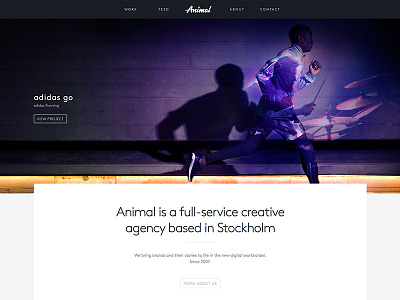 Animal animal art direction ux web design