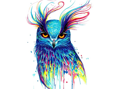Owl design graphic design illustration logo vector