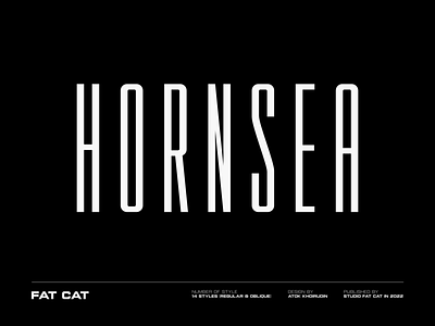 Hornsea FC font family