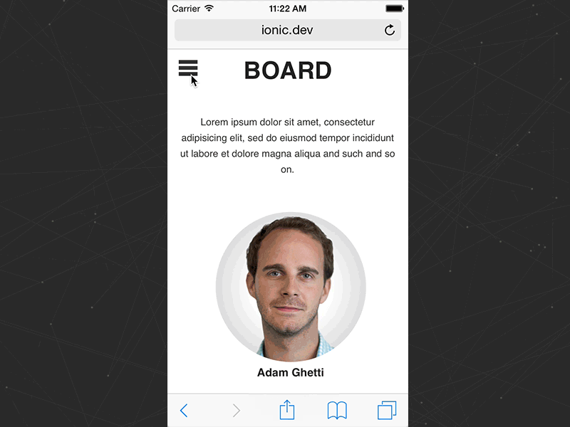 Ionic Security Mobile Interaction