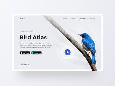 Bird Atlas - App Teaser Landing Page animal app atlas bird design encyclopedia figma interface landing page minimal teaser typography ui ux web