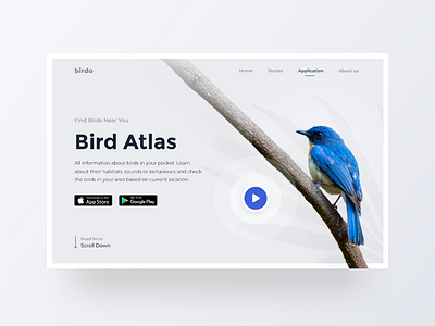 Bird Atlas - App Teaser Landing Page