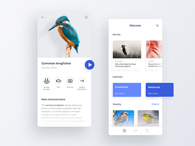 Bird Atlas App about animal app bird card discover educational figma info interface minimal mobile ui ux
