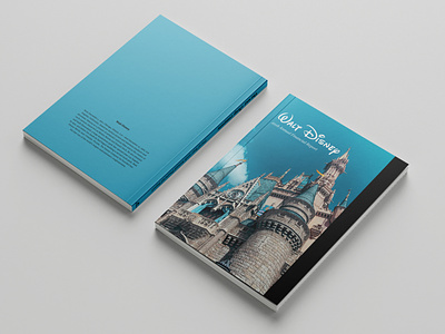 Disney Annual Report design graphic design