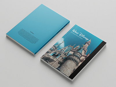 Disney Annual Report design graphic design