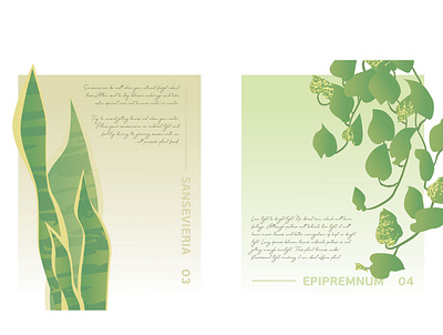 Botanical Poster N3 and N4 botanical epipremnum green illustration minimalism poster sansevieria vector