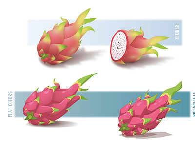 Pitaya dragonfruit fruit illustration pink pitaya purple study work stylization vector