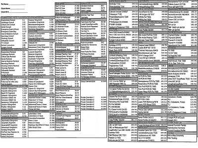 UX User Research VCA Travel Sheet