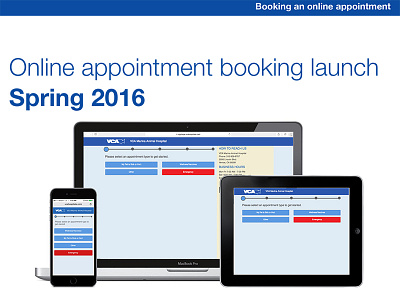 VCA Booking appointment interaction mockups responsive website design user experience ux visual design wireframes