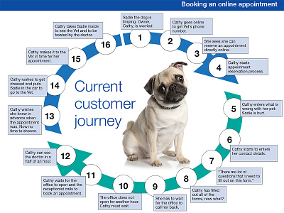 VCA User Journey analysis customer experience customer journey cx dogs pets redesign user flow user journey ux website