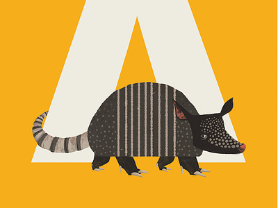 A is for Armadillo alphabet animals character digital illustration graphic grays illustration letters texture white yellow