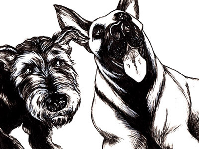 Dogs art dogs drawing fun gray scale illustration inks portrait quick sketch vector