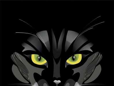 Dangerous Cat design graphic design illustration vector