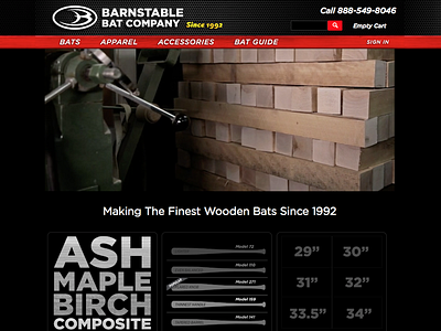 Barnstable Bat Website