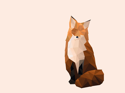 Fox design fox illustration low poly lowpoly