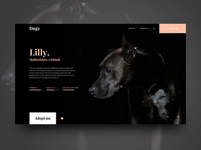 Daily Ui Challenge #4 adoption daily challenge ui dog dogs rescue dog ui design uiux ux design webdesign website