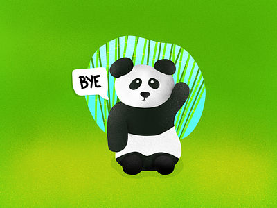 Panda illustration panda procreate