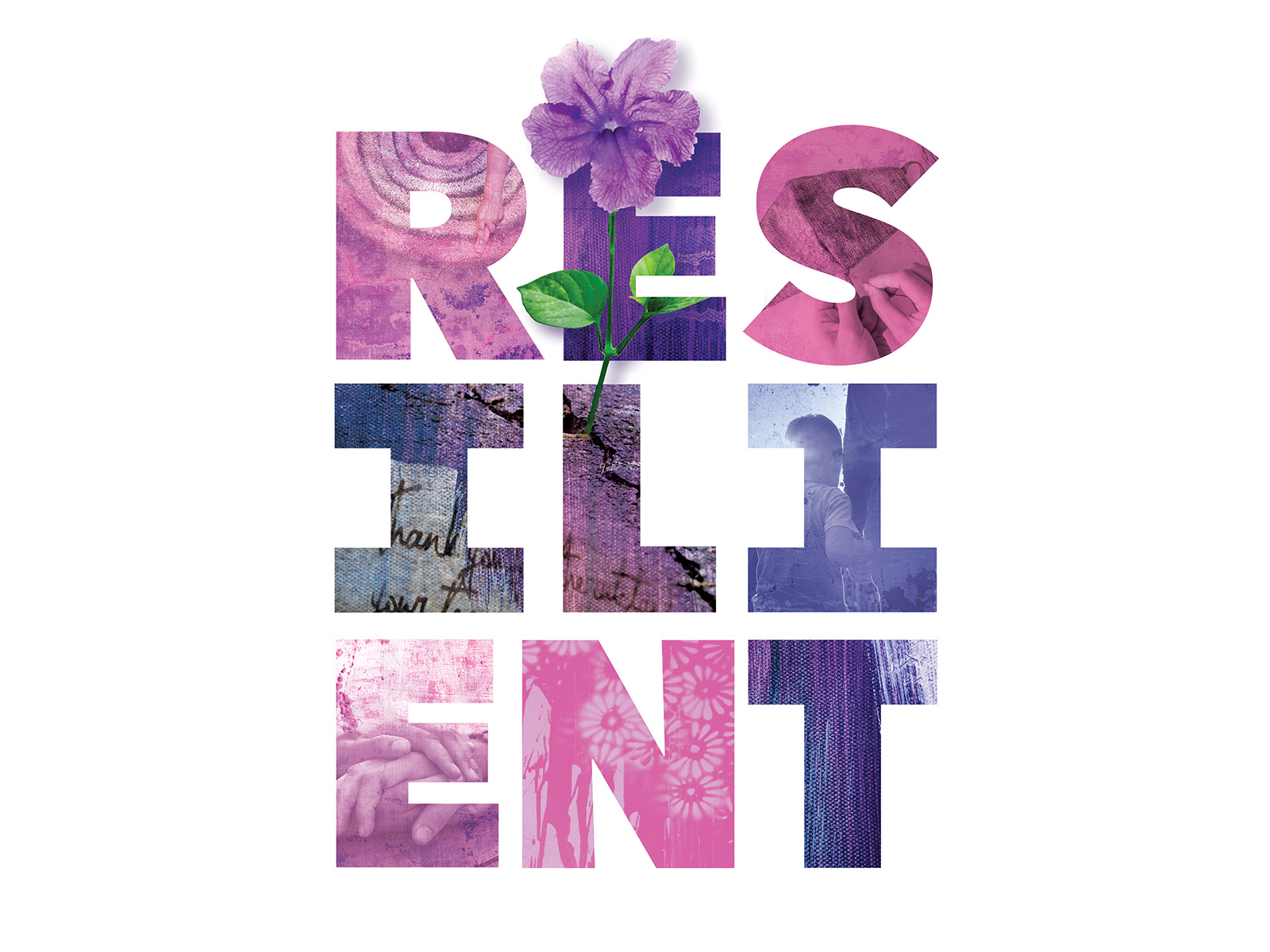 Marjaree Mason Center Annual Report by Bekah Hanson on Dribbble