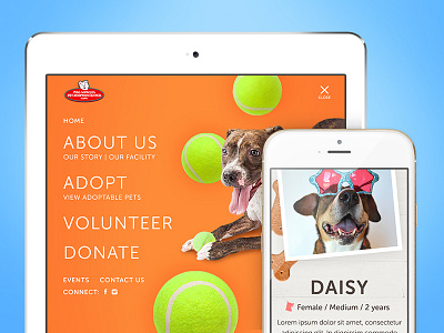 Miss Winkles Website adoption animals cat dog pets rescue ui design web design website