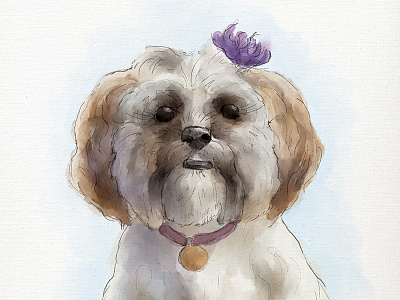 Audrey digital illustration dog illustration pet puppy watercolor