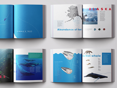 A Whale's Tale: Journey to Feed book layout spreads