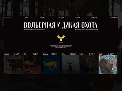 Severny brown clean hunting minimal site web website