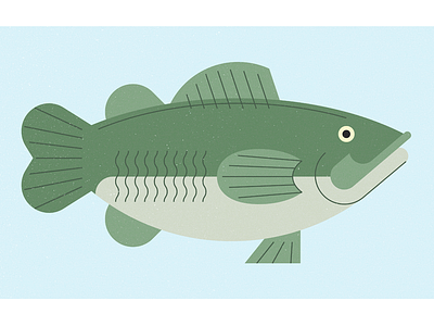 Fish fish illustration nature simple