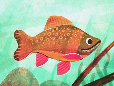 little brookie digital painting drawing fish illustration nature painting procreate texture