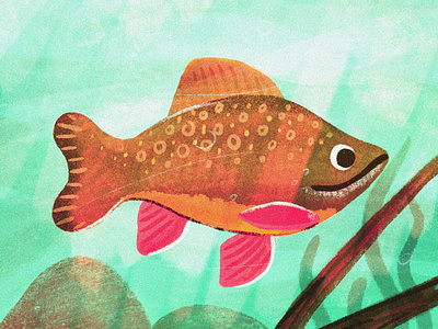 little brookie digital painting drawing fish illustration nature painting procreate texture