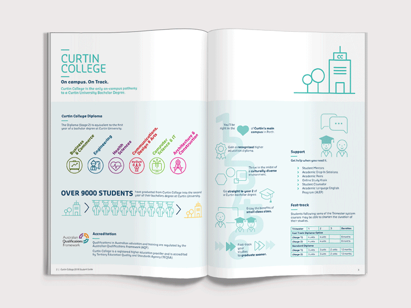 Education - Student Guide brochure data visulization graphic design infographics