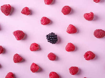 Blackberry abstract berries berry black blackberry flat lay flatlay food fruit fruits photo photography pink raspberry red