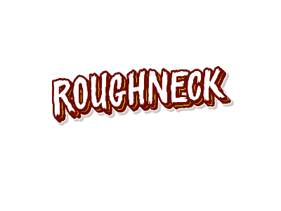 Roughneck! brushpen custom design graphic illustrator lettering script type typography
