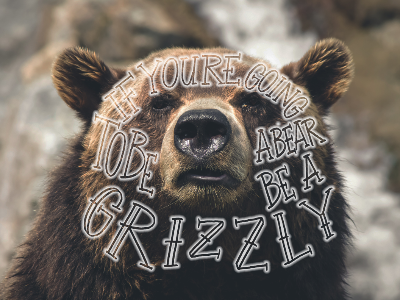 Be A Grizzly! brush pen custom design font graphic hand lettering lettering photography script type typography ui