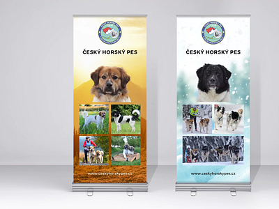 Rollup design (exhibition) design dogs print rollup ui ux