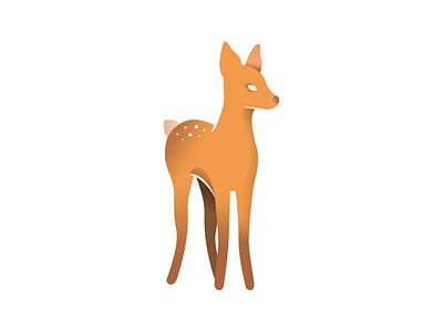 Fawn