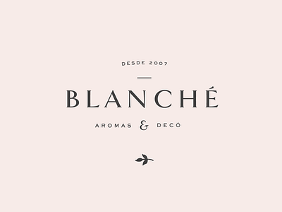 Blanché by Branch Estudio on Dribbble