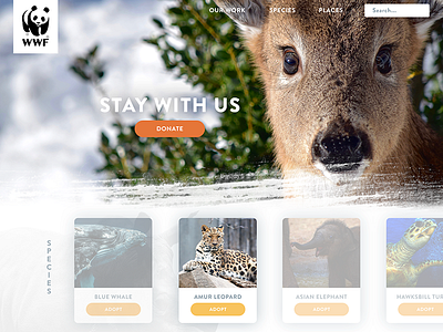 WWF site animals concept nature redesign web ui website webdesign