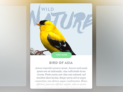 Nature card