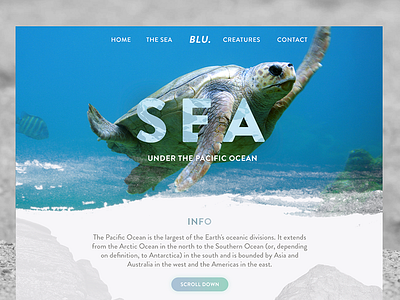 Sea animal interface landing page landscape nature sea site turtle ui ux water web design