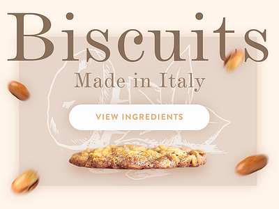 Biscuits biscuit card cook food italian italy peanuts site tasty ui ux web design