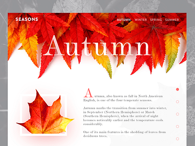 Autumn autumn concept fall leaf nature seasons ui ux web design