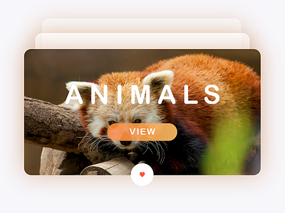 Animals animals app card daily ui interface mobile nature ui ux web design