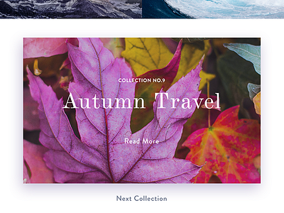 Photo Story album autumn clean fall minimal photo photography simple ui ux visual web design