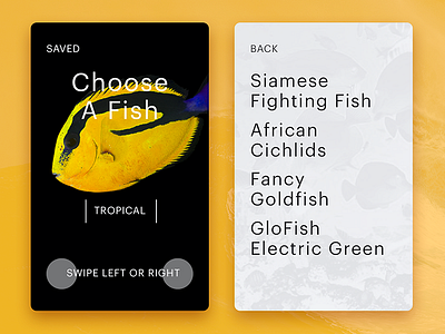 Choose A Fish animals card cart concept design fish shop ui ux