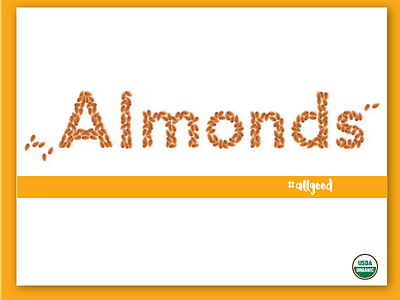 Almonds almonds food graphic design illustrator