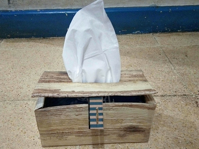Tissue Box Craft