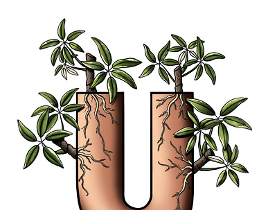 36 Days of Type - U 36daysoftype illustration plants procreate typography