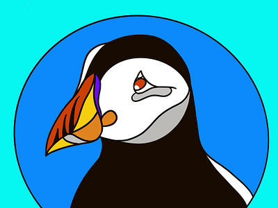 Puffin