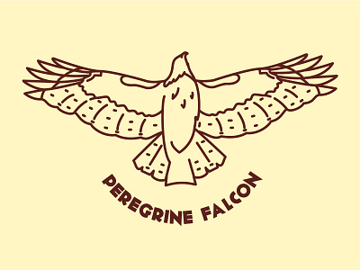 Peregrine Falcon bird california icon illustrator patch raptor vector